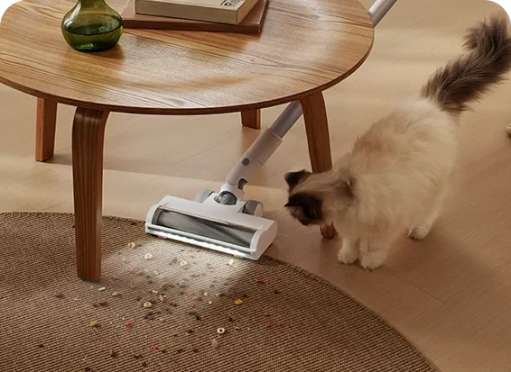Xiaomi Vacuum Cleaner G20