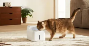 6bf84ae74061242c412f15b84a82ab95